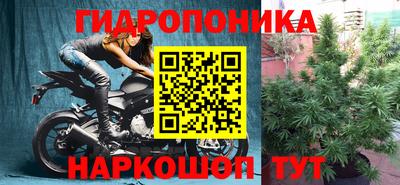 прущие крисы Ликино-Дулёво
